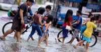 Leptospirosis cases further decline