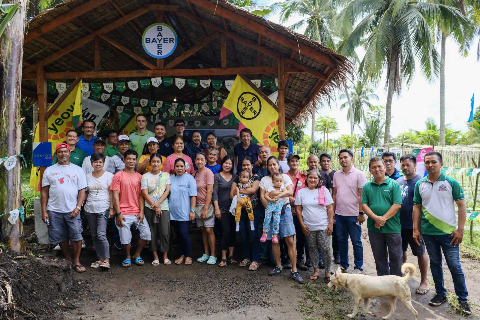 Bayer Kubo program helps small farmers