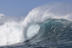 Shark attack kills Hawaii man