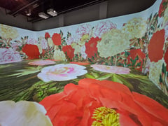 ‘Endless Landscape’ exhibit honors 75th anniversary of Korea-Phl diplomatic relations