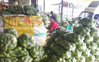 Benguet vegetable traders get huge boost