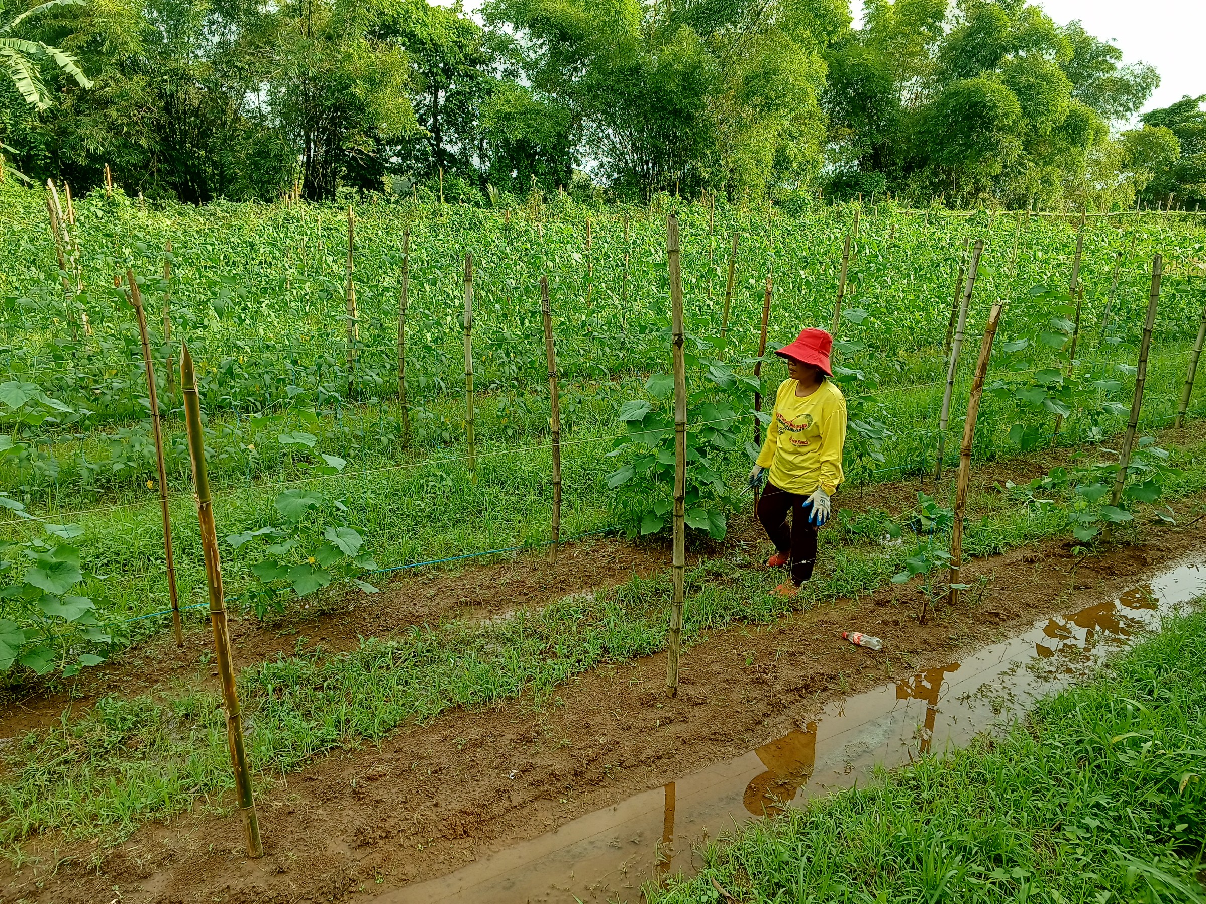 Philippines secures $1B World Bank agri loan