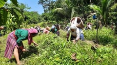 Ilocos Norte retains forest rangers
