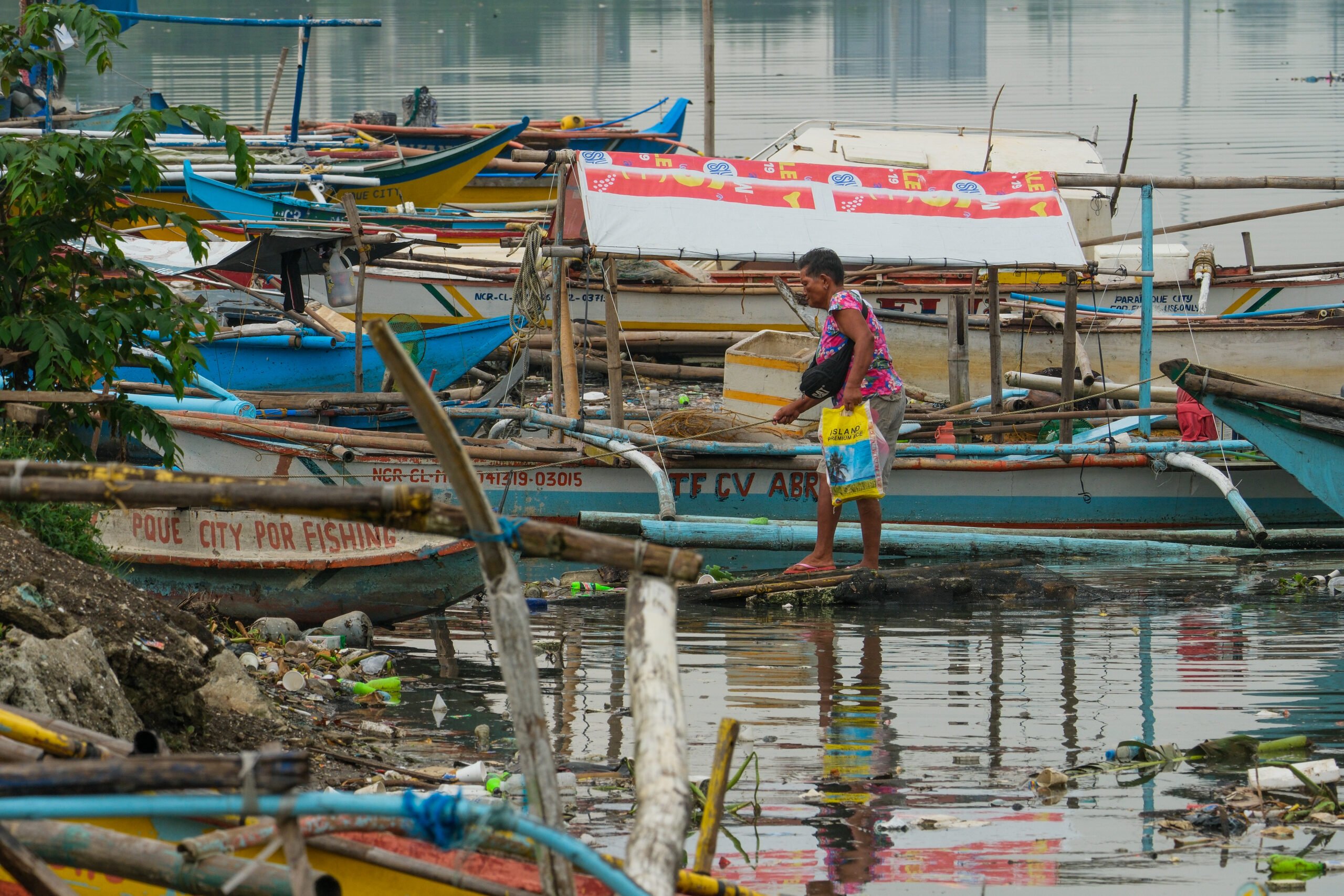 DA convenes agricultural, fisheries councils for modernization recommendations