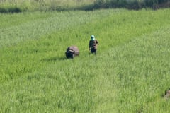 Agri councils, DA chief map out plans