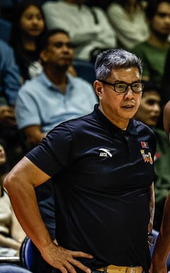 Jolas feels Castro, Pogoy presence vital