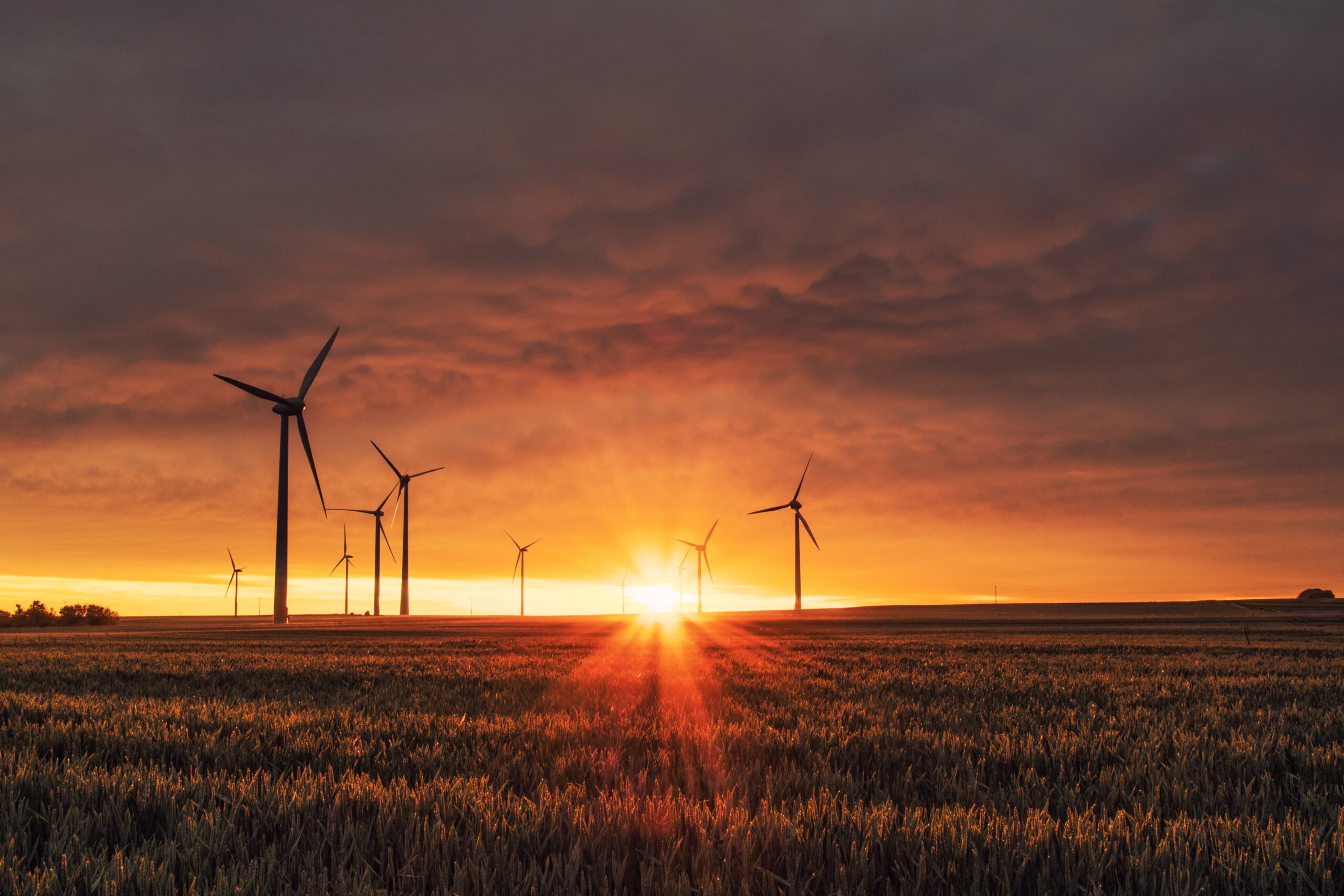 Develop human capital in digital green economy transition