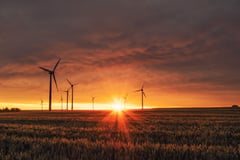 Develop human capital in digital green economy transition