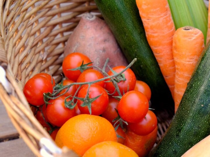 Vegetable produce ensured of rescue program in Nueva Vizcaya