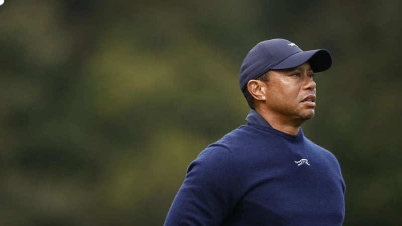 Tiger recovering from flu