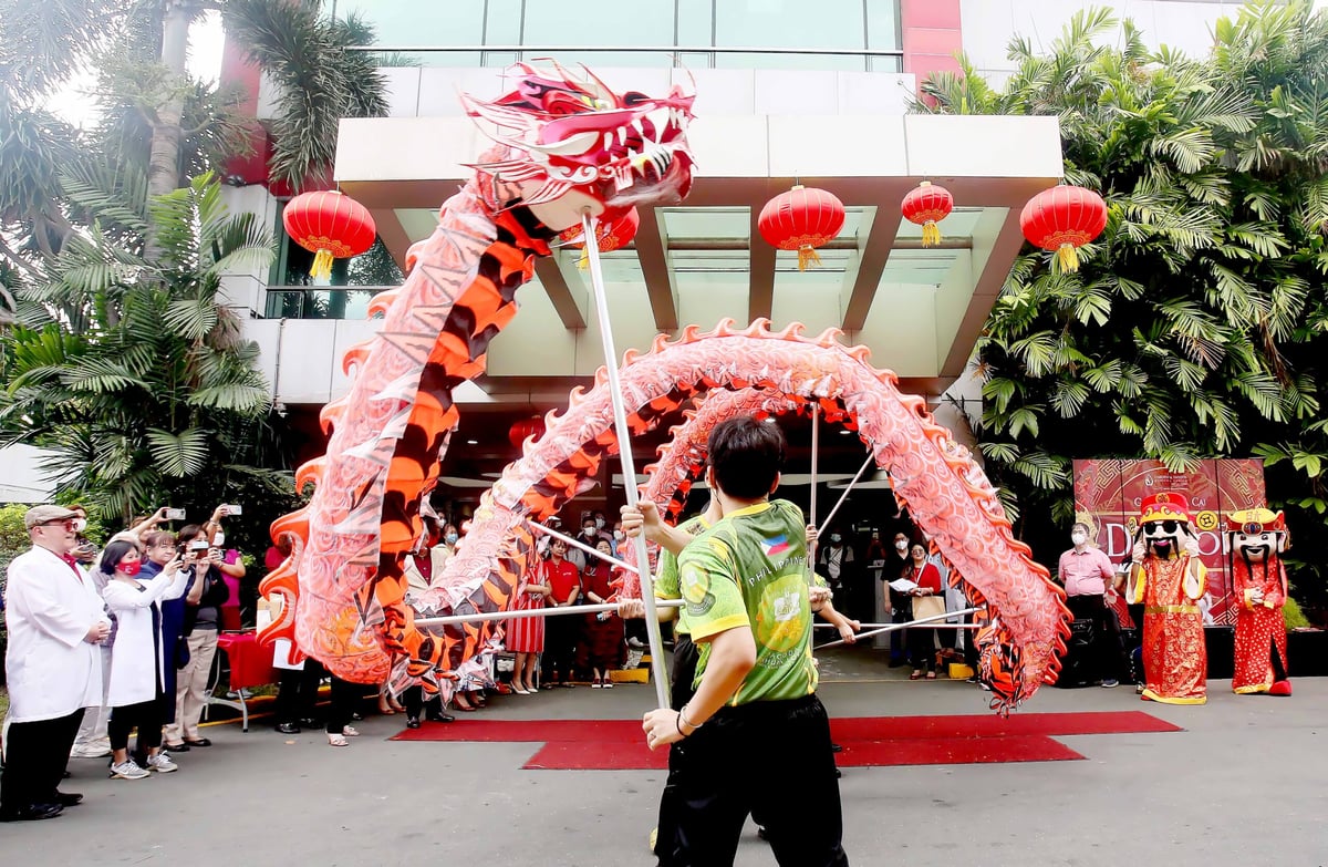 Vibrant tapestry of Chinese Lunar New Year