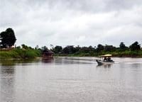 Why it’s vital to save our wetlands