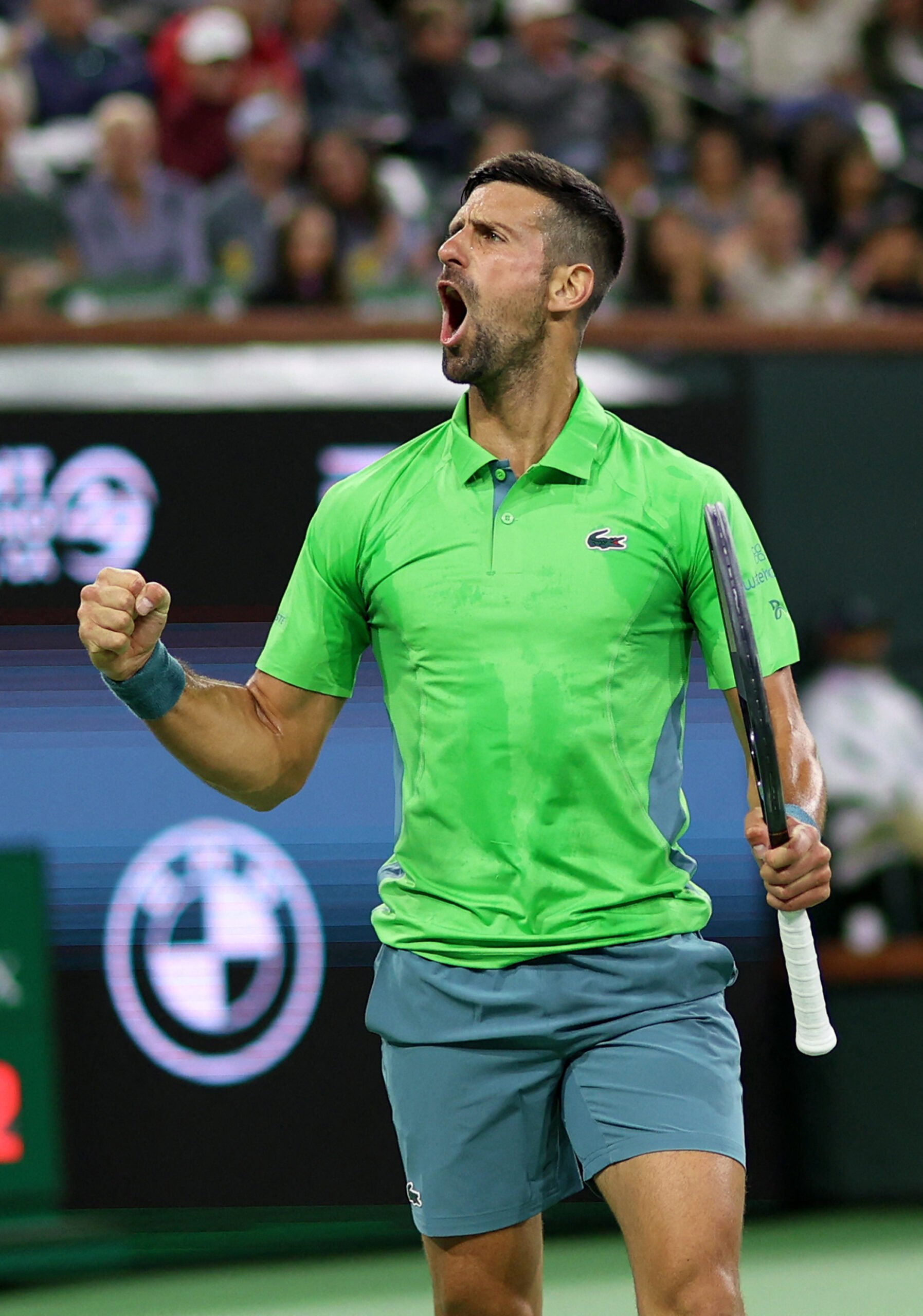 DOWN GOES NOVAK