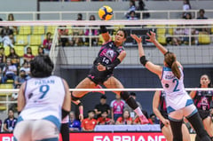 Akari ousts Galeries, stays relevant