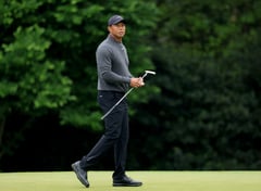 Wounded Tiger seeks Ryder Cup captaincy