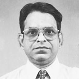 எஸ். ராமன்