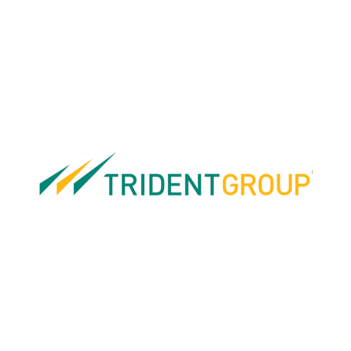 Trident Ltd