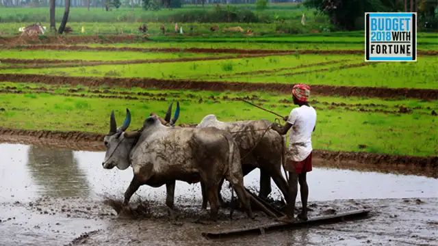 Big boost to agriculture