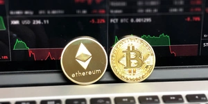 The art and craft of blockchain networks