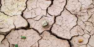 Not war, but climate change might devastate South Asia