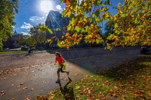 The Hyde Park power walk