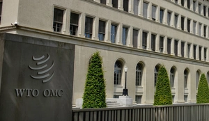 Developing nations at WTO bat for public stockholding & distribution of foodgrains