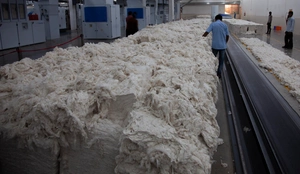 Govt to form cotton council to boost fibre’s productivity