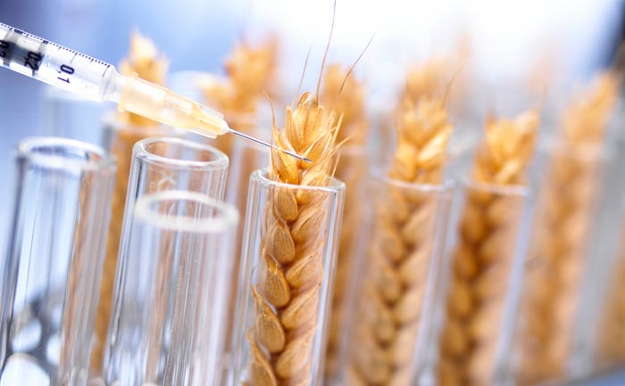Food regulator's GM food plan faces calls for withdrawal - Vimarsana News