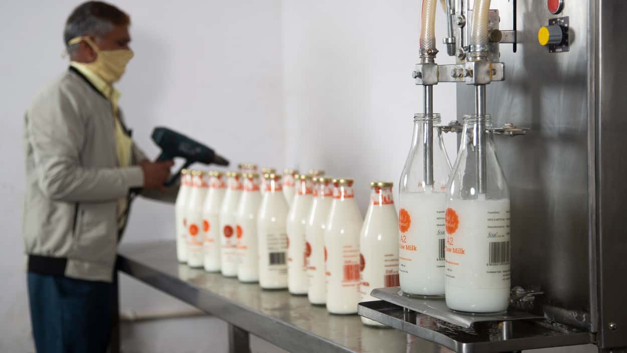 Dairy industry reels under input cost pressures; price hikes may