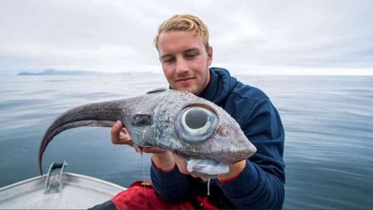 A guide for fishing company catches Dinosaur-Like fish A guide for fishing company catches Dinosaur-Like fish