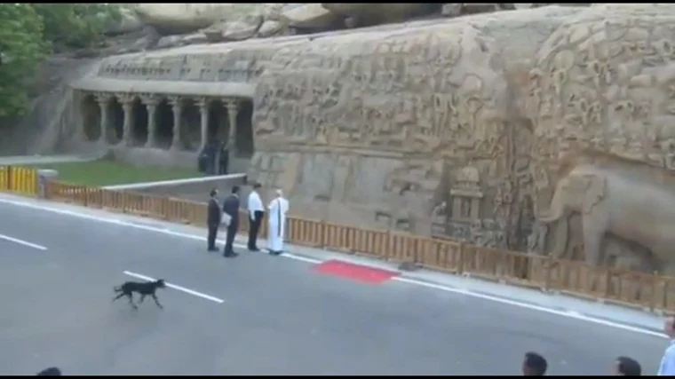 Modi-XI summit: Security breach, after black dog was spotted running at Arjuna Penance monument