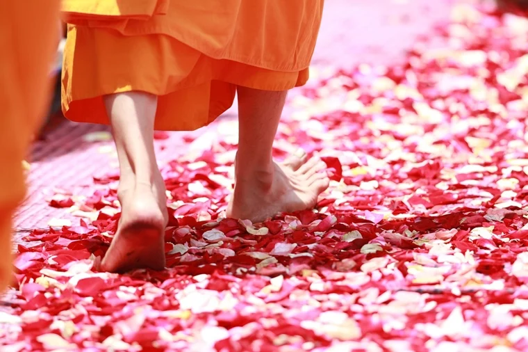 Rose Day 2020: Did you know red rose was originally NOT a symbol of LOVE?