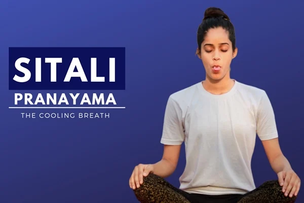 'Meaningfulness between meetings': Yoga guru Shraddha Iyer shares exercises to do right at your desk
