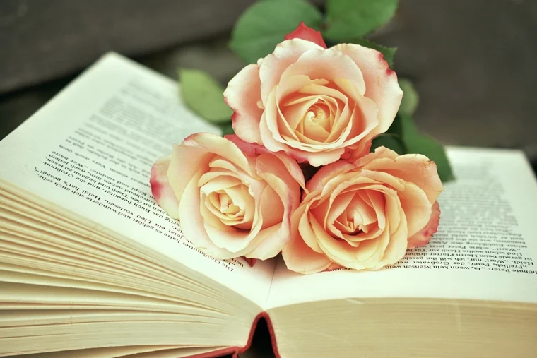 Rose Day 2020: Did you know red rose was originally NOT a symbol of LOVE?