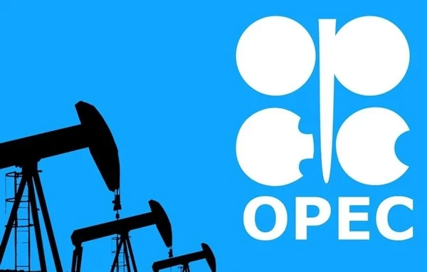 OPEC says top oil producers except Mexico agree to output cuts