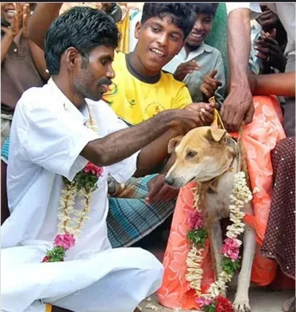 Scourge of superstitions: The lengths people go to in order to appease the gods