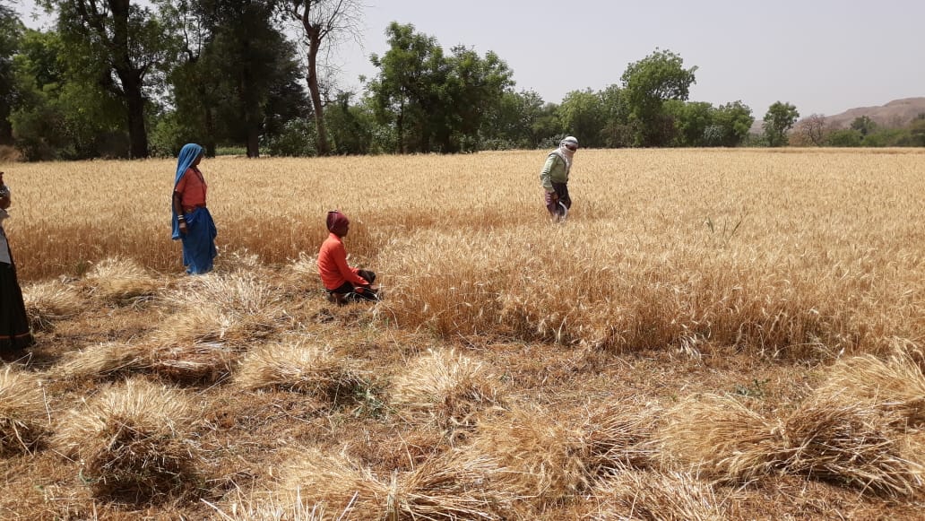 Farmers