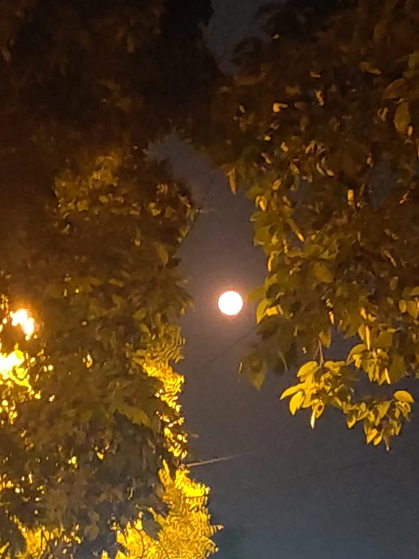 Check out gorgeous pics of Pink Super Moon across India