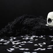 When 3 species of our ancestor roamed the Earth