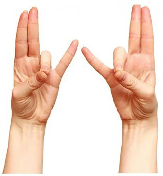 Prithvi mudra