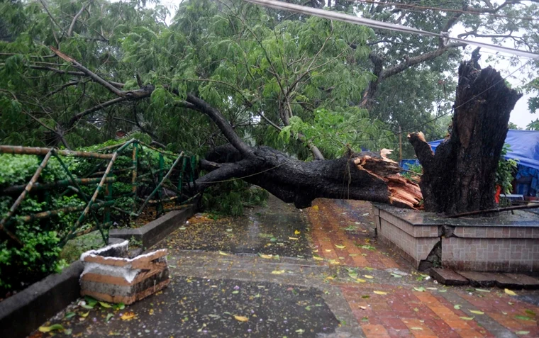 In Pictures: Cyclone Amphan leaves death, destruction in its trail in Odisha, West Bengal