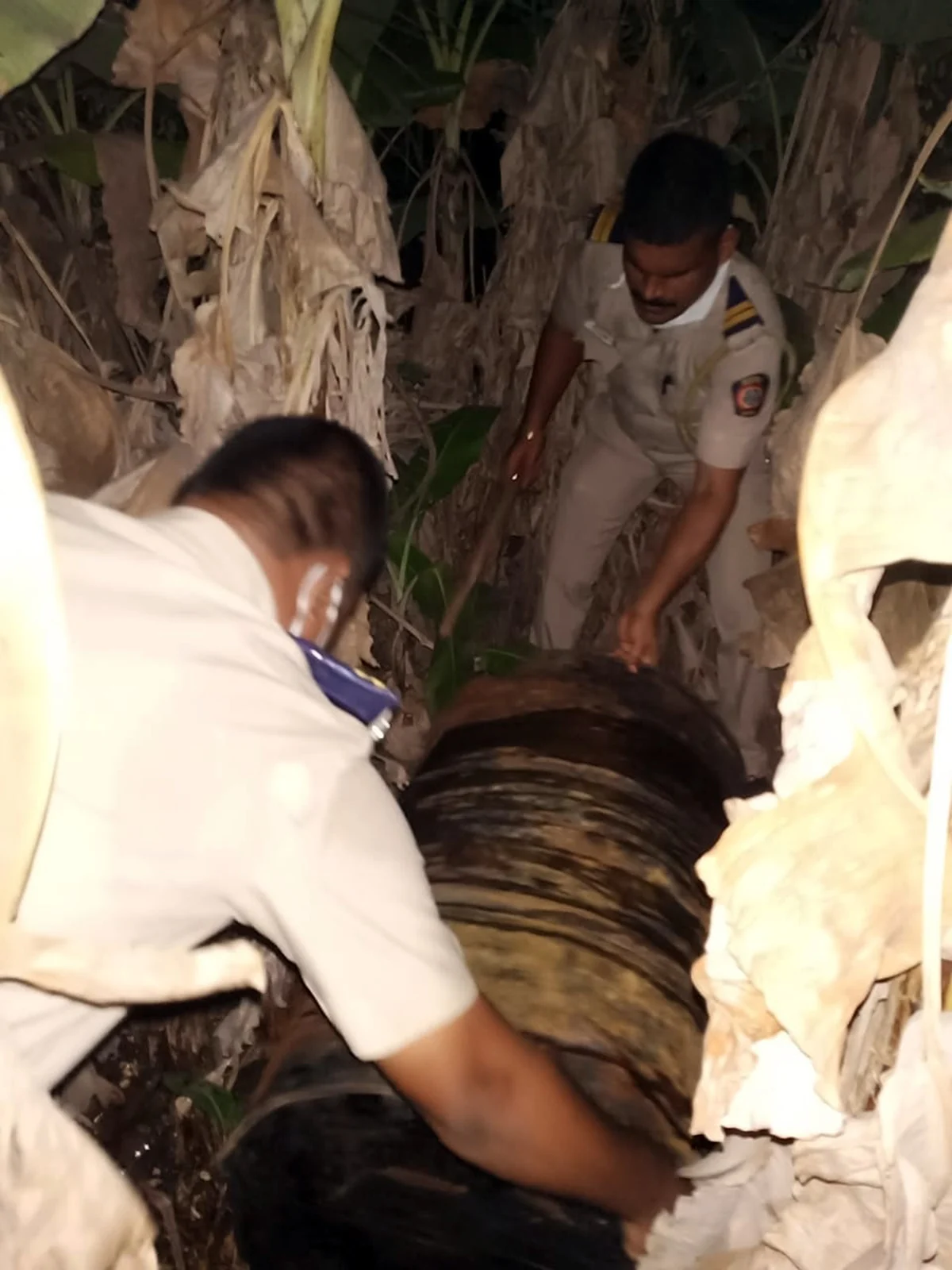 Lockdown 3.0 in Mira Bhayandar: Cops bust illicit hooch brewing unit in Uttan as Excise Department continues to turn a blind eye