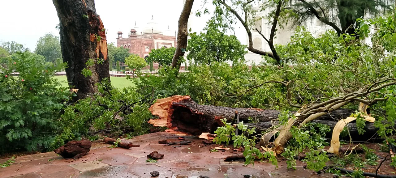 Trees around the park of Taj Mahal uprooted and broken following the heavy wind and rain, in Agra on Friday