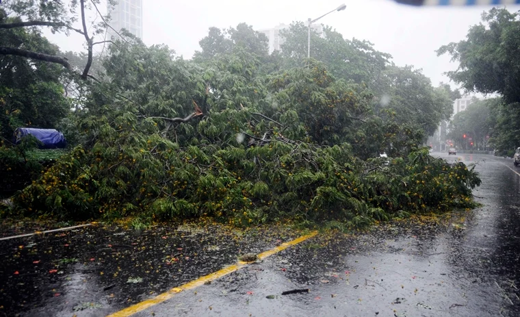 In Pictures: Cyclone Amphan leaves death, destruction in its trail in Odisha, West Bengal