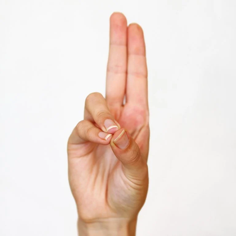 Prana mudra