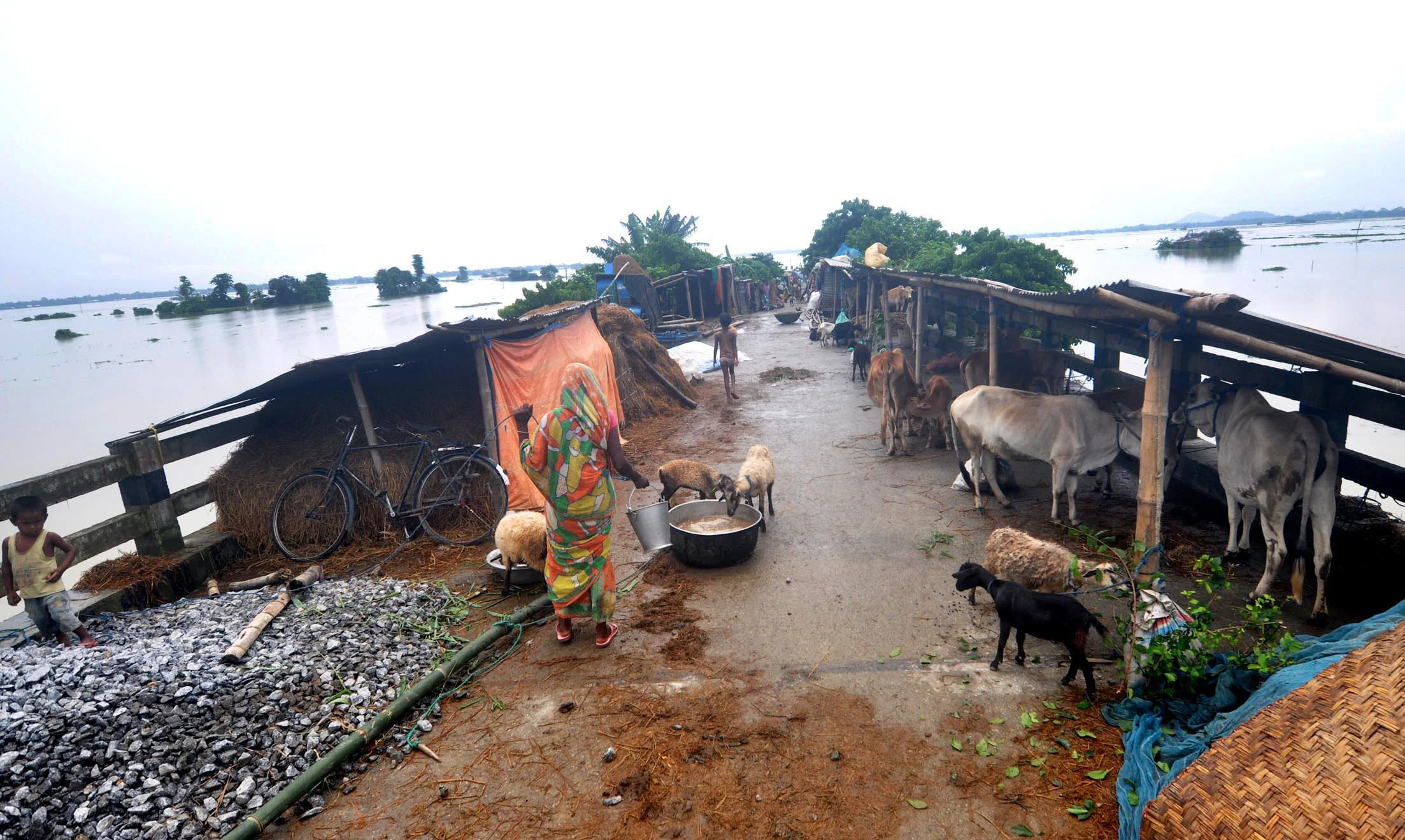 In pics: Floods wreak havoc in 33 districts of Assam