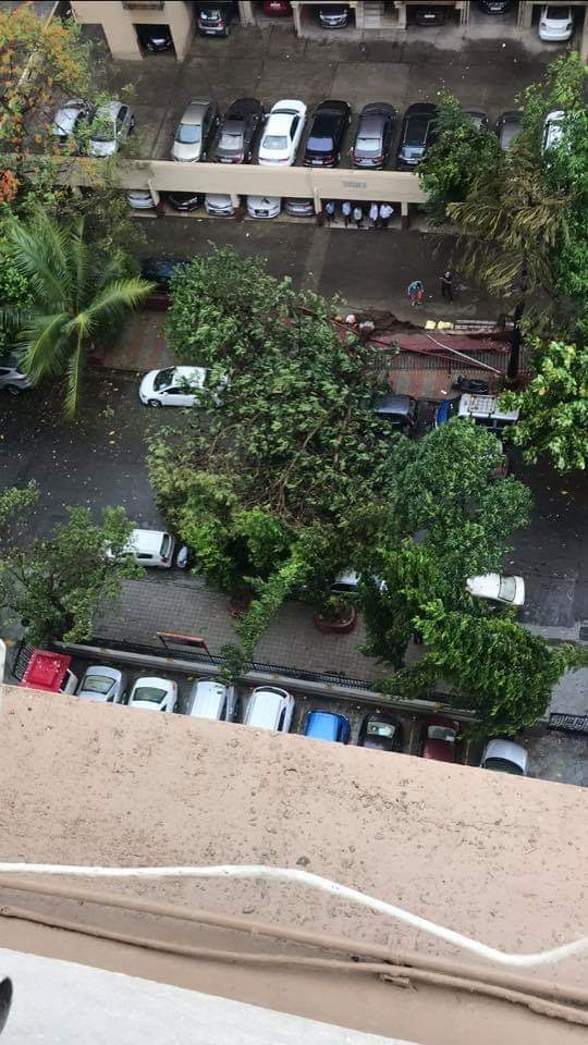 Scenes from G Road Marine Lines