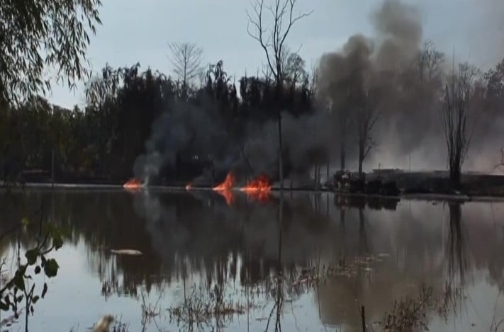 Assam gas leak: Oil Ministry sets up high-level panel to inquire into disaster 