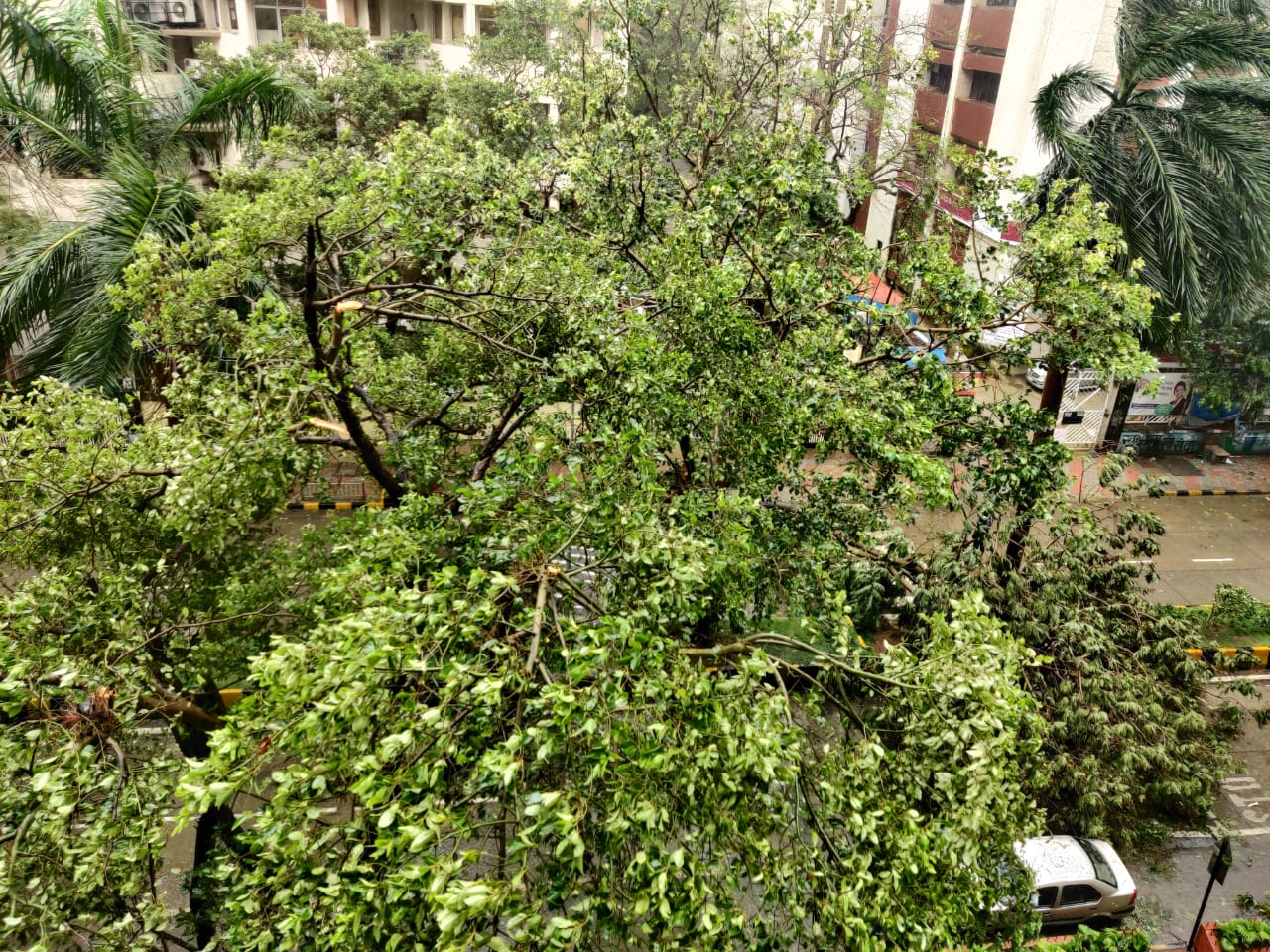 In Pics: Cyclone Nisarga approaches Mumbai; Maximum City braces itself for cyclonic storms before onset of monsoons
