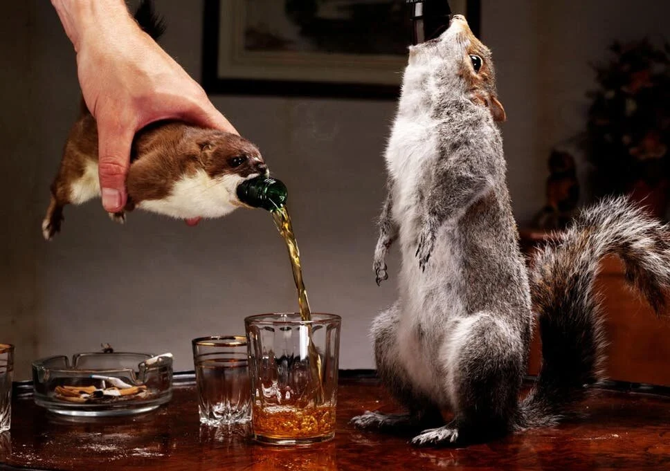 Beers that can burn a hole in your pocket